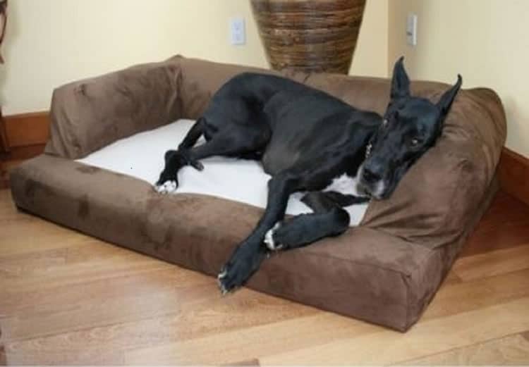 XXL Dog Bed Orthopedic Foam Sofa Couch Extra Large Size