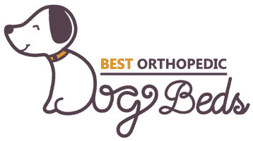 Best Orthopedic Dog Beds